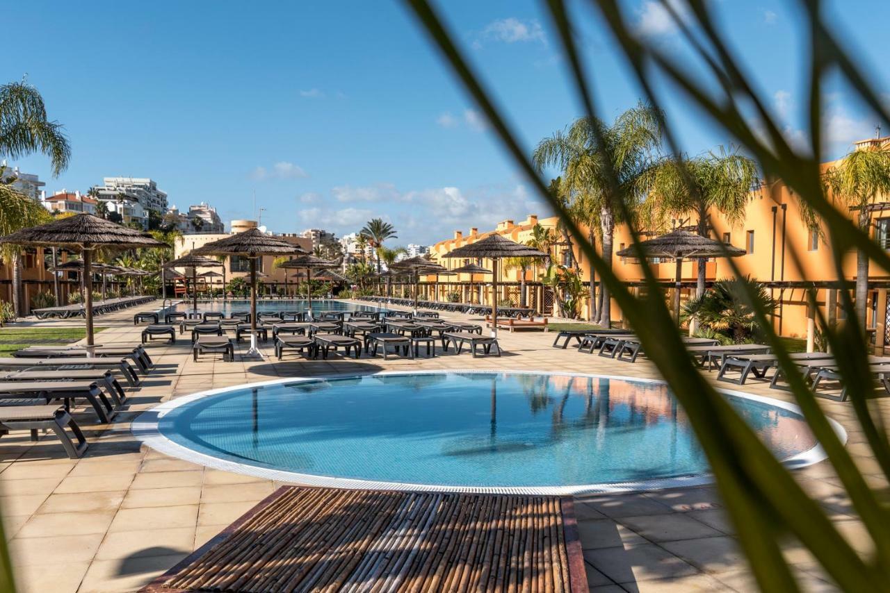 Luxury Apartment, Marina, & Pool Apartment *